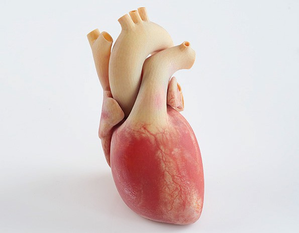 3D принтер Stratasys J750 медицинская модель сердца