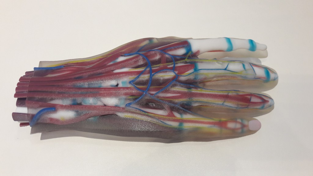 3D принтер Stratasys J750 медицинская модель руки